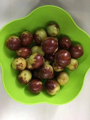 哪里的冬棗最好?山東沾化、河北黃驊、陜西大荔,還是山西、新疆江西或其他地方?