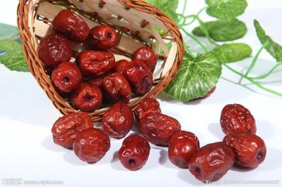 黃驊冬棗 滄州林果的璀璨明珠，京津冀果王爭(zhēng)霸賽的璀璨之星