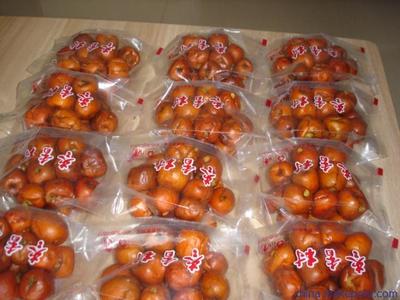 棗香村特產(chǎn)黃驊無(wú)核酥脆冬棗 批發(fā)零售指南與圖片展示